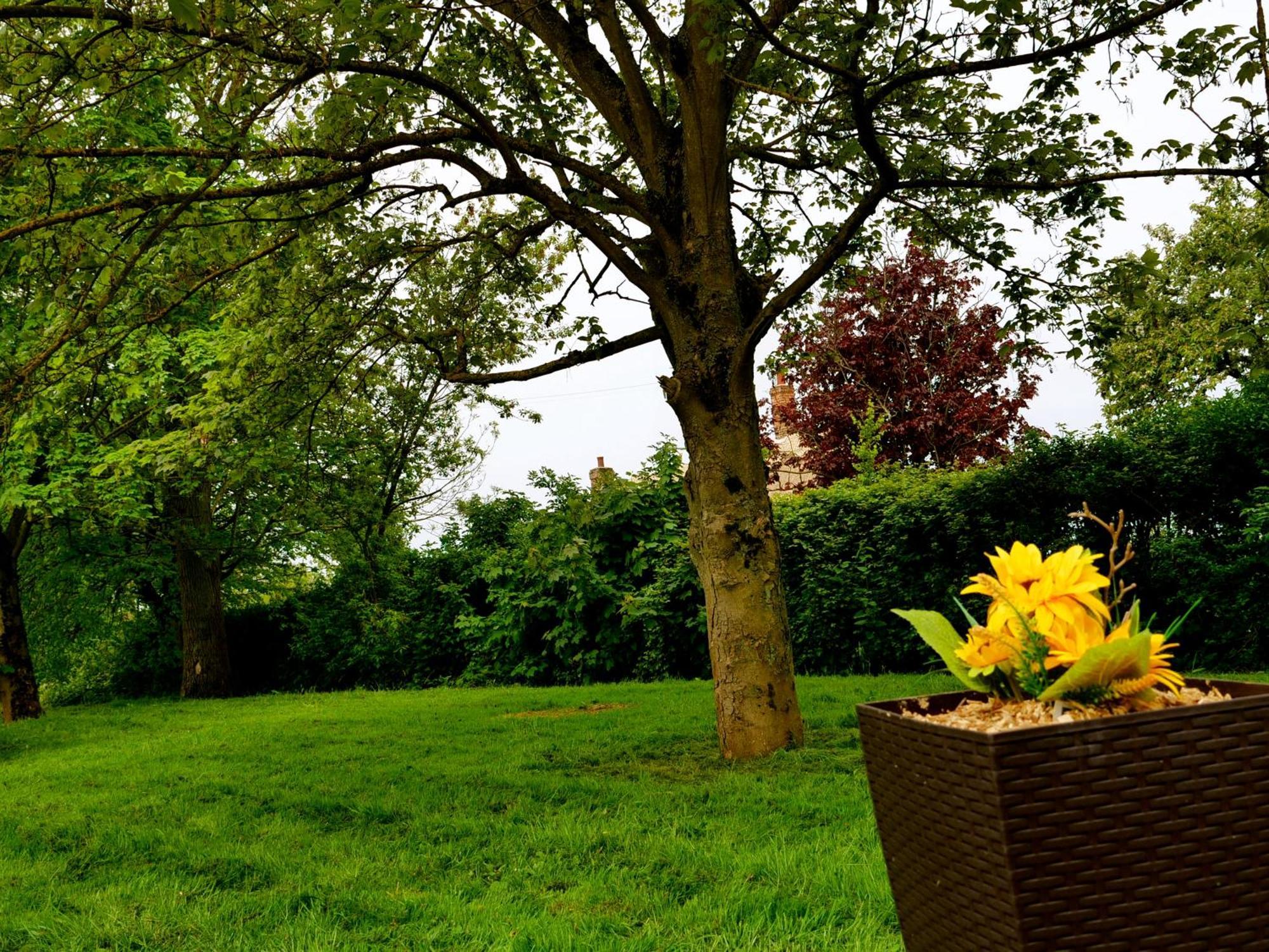 Deluxe 4 Or 5 Bed House With Hot Tub, Cinema Sleeps 15 *